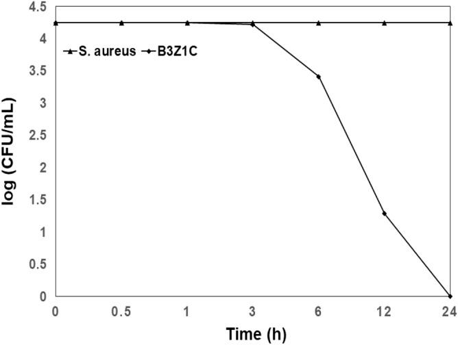https://cdn.ncbi.nlm.nih.gov/pmc/blobs/d29e/7794424/d5cb5af9c944/41598_2020_79547_Fig5_HTML.jpg
