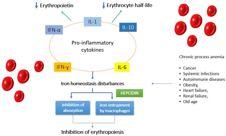 https://cdn.ncbi.nlm.nih.gov/pmc/blobs/d2a0/8537360/0f95faa1e733/nutrients-13-03437-g003.jpg