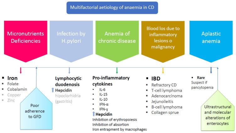 https://cdn.ncbi.nlm.nih.gov/pmc/blobs/d2a0/8537360/78edac82be5c/nutrients-13-03437-g004.jpg