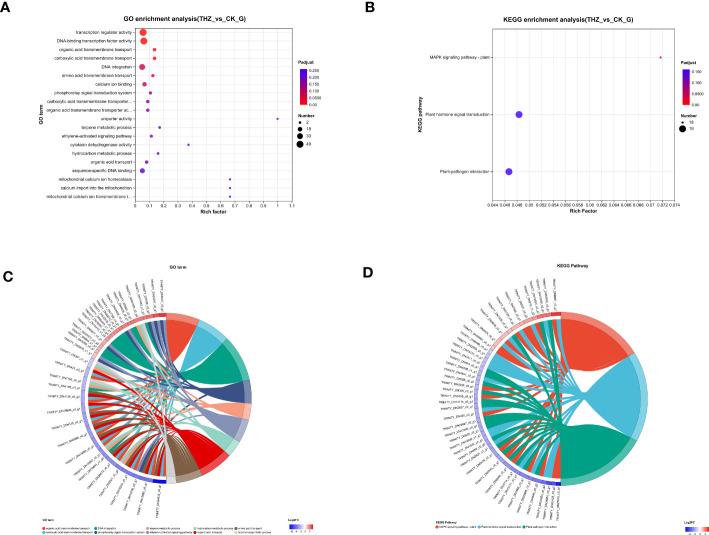 https://cdn.ncbi.nlm.nih.gov/pmc/blobs/d2a4/10522861/108a5acd0a30/fpls-14-1227507-g006.jpg