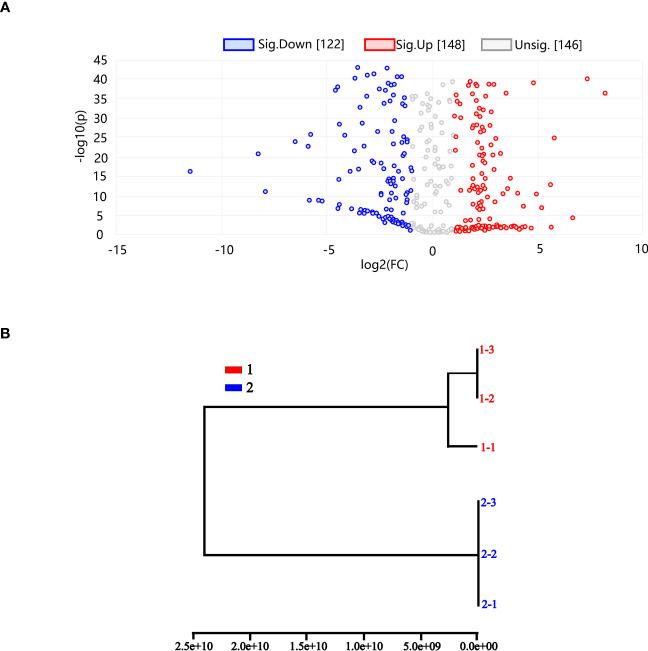 https://cdn.ncbi.nlm.nih.gov/pmc/blobs/d2a4/10522861/6fa957730eea/fpls-14-1227507-g009.jpg