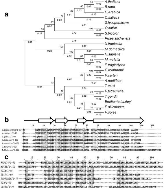 https://cdn.ncbi.nlm.nih.gov/pmc/blobs/d2a4/4901443/4e86b589f37d/12860_2016_103_Fig1_HTML.jpg