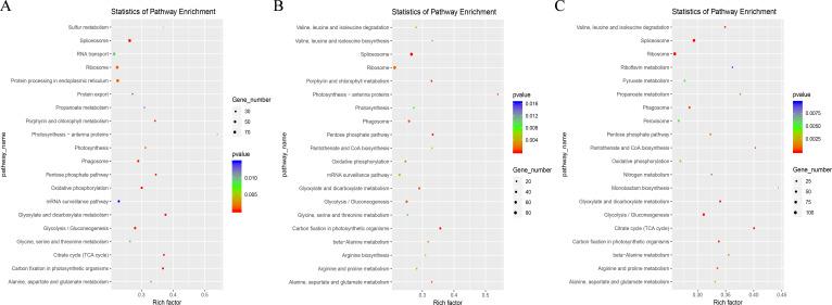 https://cdn.ncbi.nlm.nih.gov/pmc/blobs/d2a6/12213554/692e23a55ead/fpls-16-1566354-g008.jpg