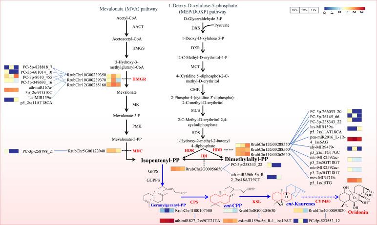 https://cdn.ncbi.nlm.nih.gov/pmc/blobs/d2a6/12213554/70146323885c/fpls-16-1566354-g009.jpg