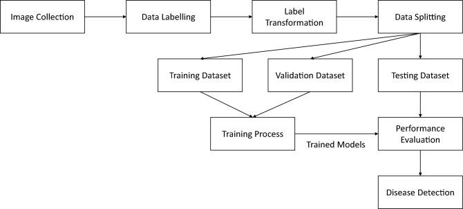 https://cdn.ncbi.nlm.nih.gov/pmc/blobs/d2a8/11227504/6e3cd314c722/41598_2024_66281_Fig1_HTML.jpg