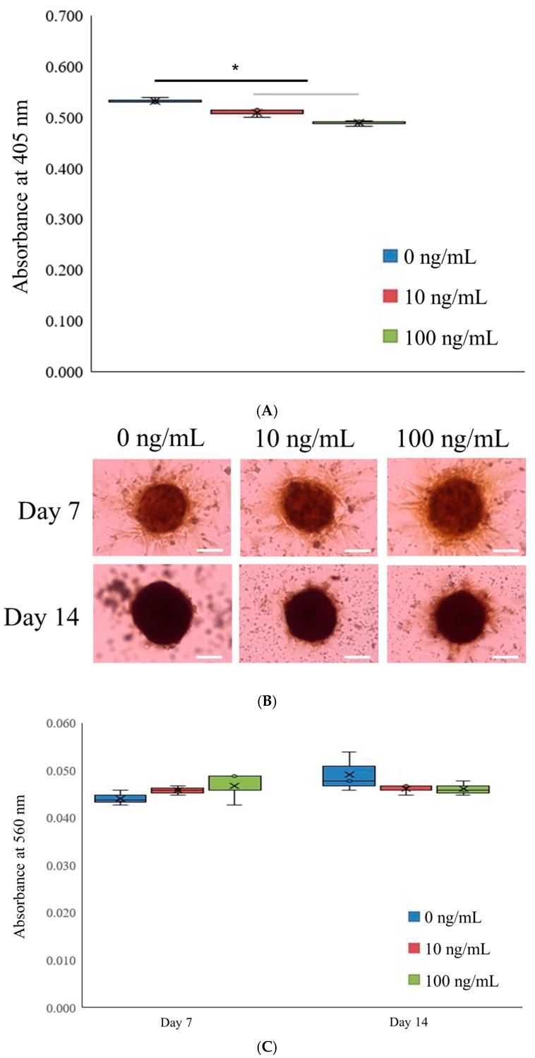https://cdn.ncbi.nlm.nih.gov/pmc/blobs/d2a9/11766960/e0544dec15d1/medicina-61-00076-g003.jpg