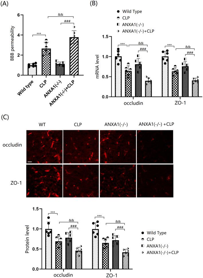 https://cdn.ncbi.nlm.nih.gov/pmc/blobs/d2aa/11672249/3d72825494e8/CNS-30-e70173-g002.jpg