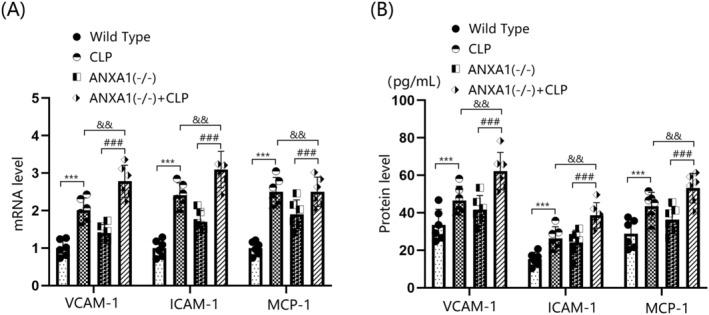 https://cdn.ncbi.nlm.nih.gov/pmc/blobs/d2aa/11672249/41b9dcbcf42c/CNS-30-e70173-g001.jpg