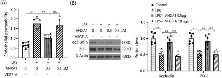 https://cdn.ncbi.nlm.nih.gov/pmc/blobs/d2aa/11672249/71296b8915c6/CNS-30-e70173-g004.jpg