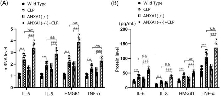 https://cdn.ncbi.nlm.nih.gov/pmc/blobs/d2aa/11672249/827f21027bf5/CNS-30-e70173-g006.jpg