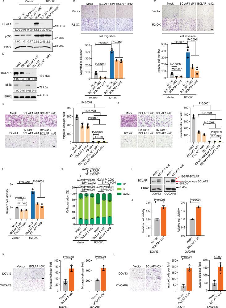 https://cdn.ncbi.nlm.nih.gov/pmc/blobs/d2aa/11868507/0a69d0dfb595/41467_2025_56532_Fig3_HTML.jpg