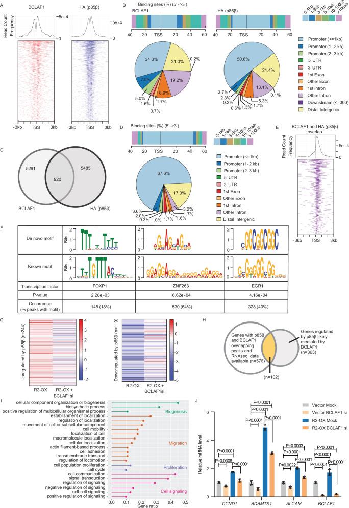 https://cdn.ncbi.nlm.nih.gov/pmc/blobs/d2aa/11868507/62991a78da11/41467_2025_56532_Fig6_HTML.jpg
