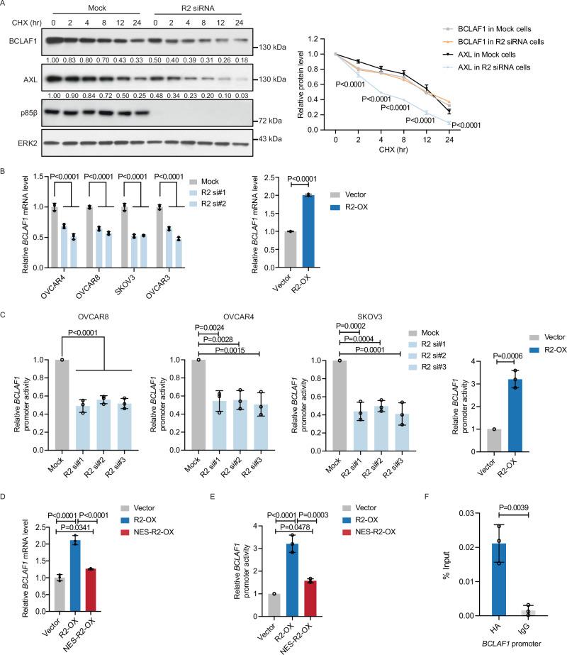 https://cdn.ncbi.nlm.nih.gov/pmc/blobs/d2aa/11868507/a7ee8975c9c4/41467_2025_56532_Fig4_HTML.jpg