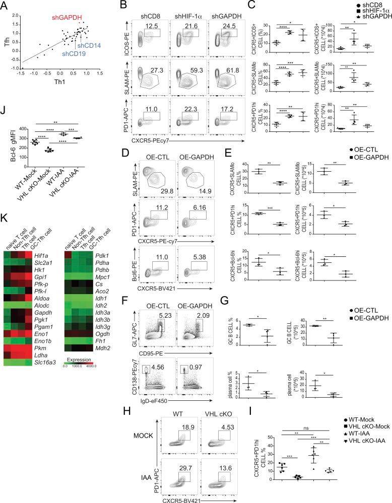 https://cdn.ncbi.nlm.nih.gov/pmc/blobs/d2aa/6605754/097804654fd9/JEM_20190337_Fig5.jpg