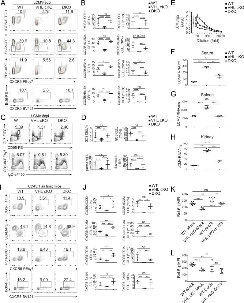 https://cdn.ncbi.nlm.nih.gov/pmc/blobs/d2aa/6605754/45d397d1db8a/JEM_20190337_Fig4.jpg