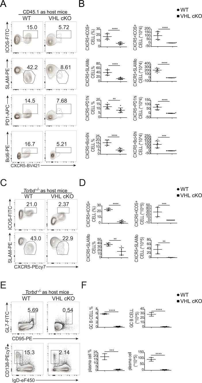 https://cdn.ncbi.nlm.nih.gov/pmc/blobs/d2aa/6605754/6972b0626eb1/JEM_20190337_Fig2.jpg