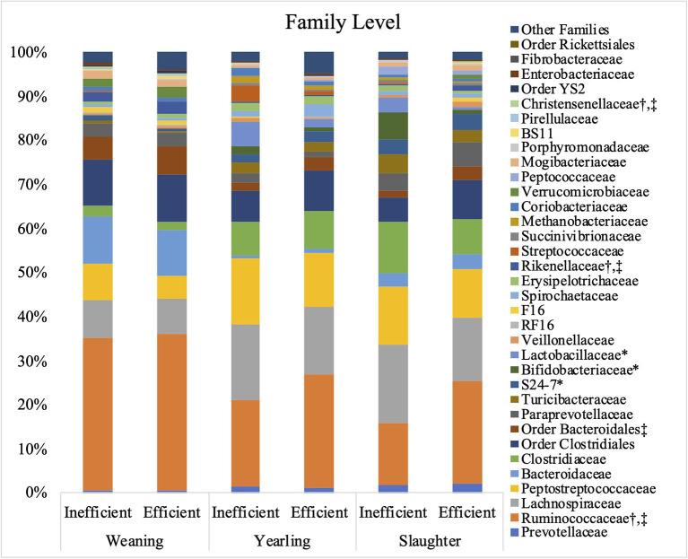 https://cdn.ncbi.nlm.nih.gov/pmc/blobs/d2aa/8275654/176ba9c8d935/fvets-08-597405-g0003.jpg