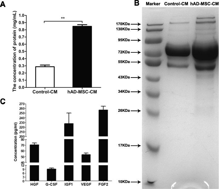 https://cdn.ncbi.nlm.nih.gov/pmc/blobs/d2ab/6347748/070339643862/13287_2019_1136_Fig6_HTML.jpg