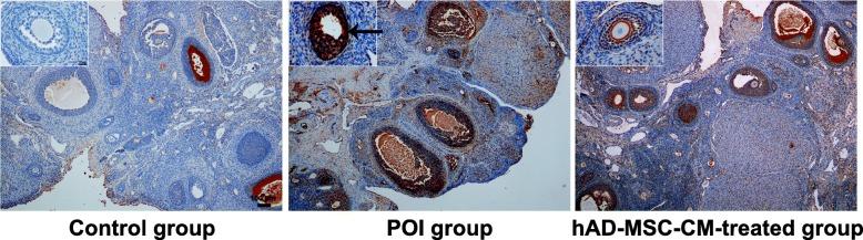 https://cdn.ncbi.nlm.nih.gov/pmc/blobs/d2ab/6347748/9ebc27359548/13287_2019_1136_Fig8_HTML.jpg