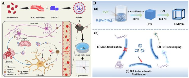 https://cdn.ncbi.nlm.nih.gov/pmc/blobs/d2ac/12384399/1405e3da6993/biosensors-15-00480-g012.jpg