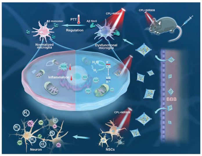 https://cdn.ncbi.nlm.nih.gov/pmc/blobs/d2ac/12384399/22353fc2ceed/biosensors-15-00480-g009.jpg