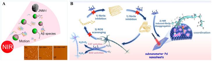 https://cdn.ncbi.nlm.nih.gov/pmc/blobs/d2ac/12384399/41c4f95a398b/biosensors-15-00480-g007.jpg