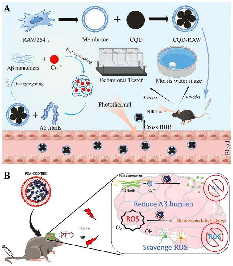 https://cdn.ncbi.nlm.nih.gov/pmc/blobs/d2ac/12384399/b2d965cd7fb3/biosensors-15-00480-g003.jpg