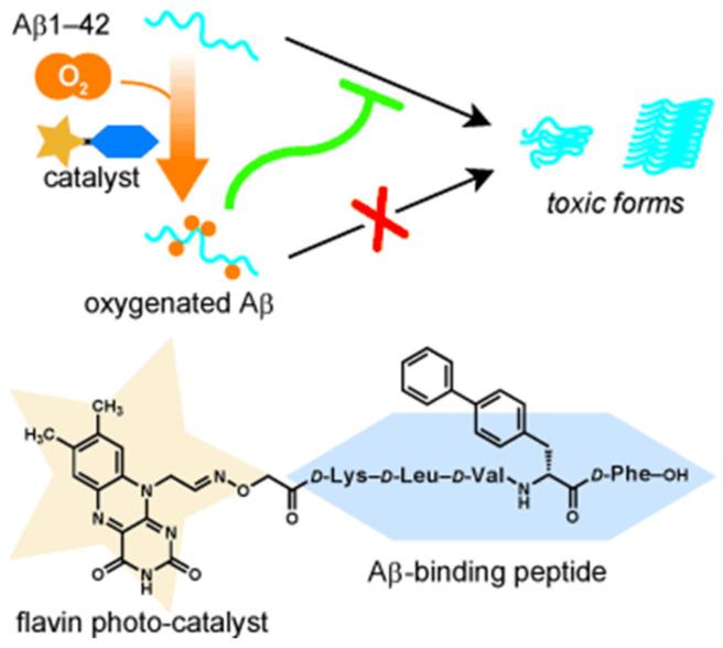 https://cdn.ncbi.nlm.nih.gov/pmc/blobs/d2ac/12384399/bbac9b01781c/biosensors-15-00480-g014.jpg
