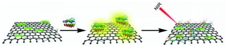 https://cdn.ncbi.nlm.nih.gov/pmc/blobs/d2ac/12384399/bc34e0c58f7b/biosensors-15-00480-g002.jpg