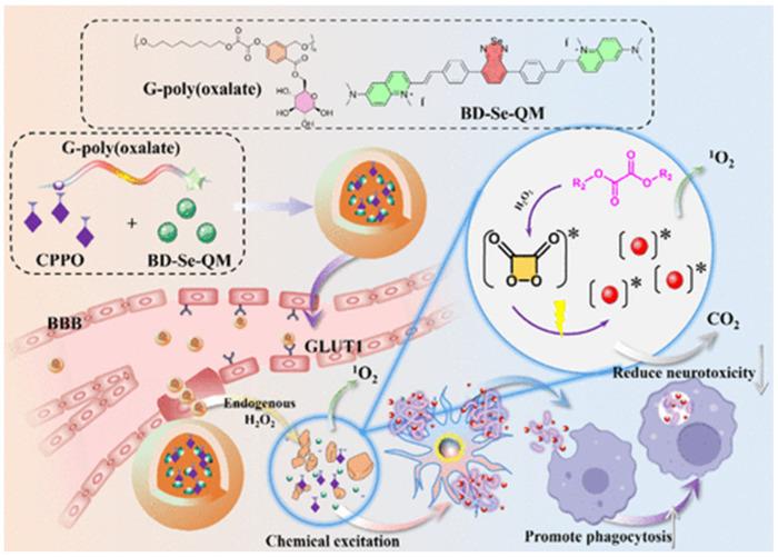 https://cdn.ncbi.nlm.nih.gov/pmc/blobs/d2ac/12384399/d9c881c60464/biosensors-15-00480-g016.jpg