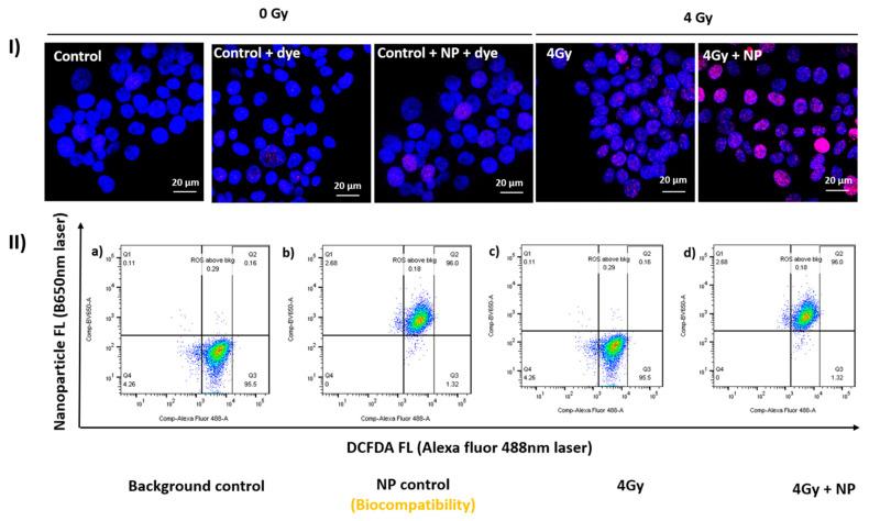 https://cdn.ncbi.nlm.nih.gov/pmc/blobs/d2af/8833418/1f50d5d008ac/cancers-14-00514-g003.jpg