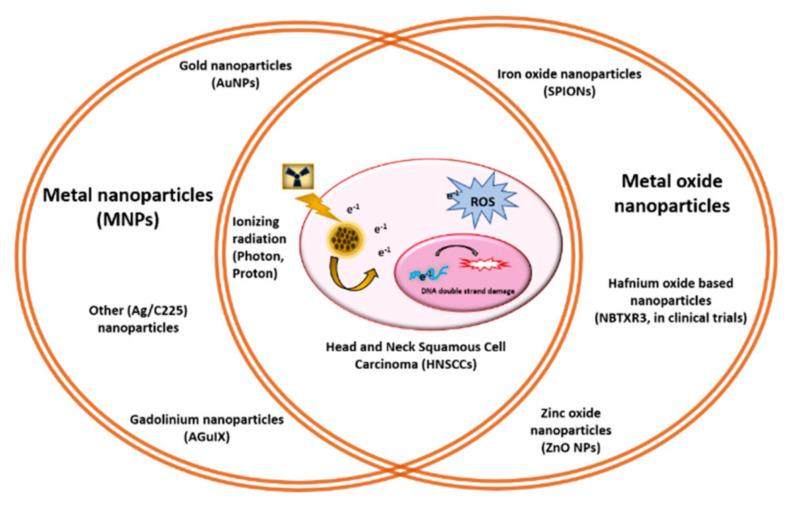 https://cdn.ncbi.nlm.nih.gov/pmc/blobs/d2af/8833418/77cc6da47e59/cancers-14-00514-g001.jpg