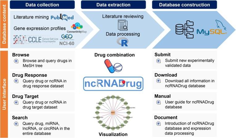https://cdn.ncbi.nlm.nih.gov/pmc/blobs/d2b2/10767907/d7683e928c00/gkad1042fig1.jpg