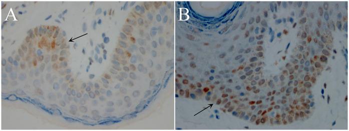 https://cdn.ncbi.nlm.nih.gov/pmc/blobs/d2b3/12427030/13353d90443e/fped-13-1660777-g001.jpg