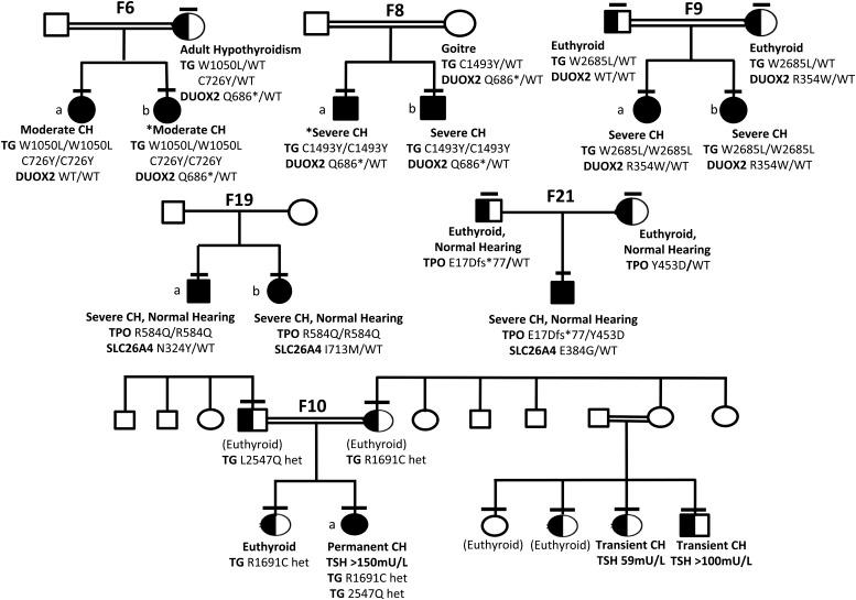 https://cdn.ncbi.nlm.nih.gov/pmc/blobs/d2b3/5155683/b4411c09f7a9/zeg0091627850005.jpg