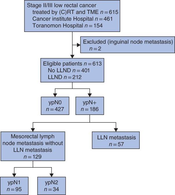 https://cdn.ncbi.nlm.nih.gov/pmc/blobs/d2b6/6887909/58d3ad8e3541/BJS5-3-822-g001.jpg