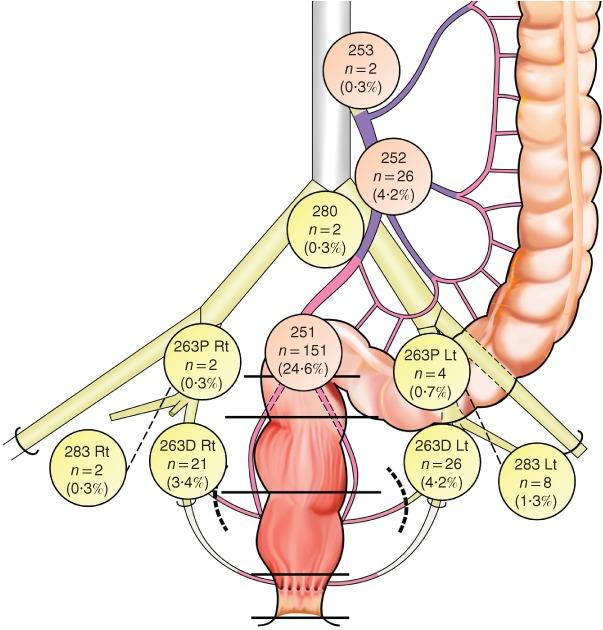 https://cdn.ncbi.nlm.nih.gov/pmc/blobs/d2b6/6887909/a46fe92faf0e/BJS5-3-822-g002.jpg