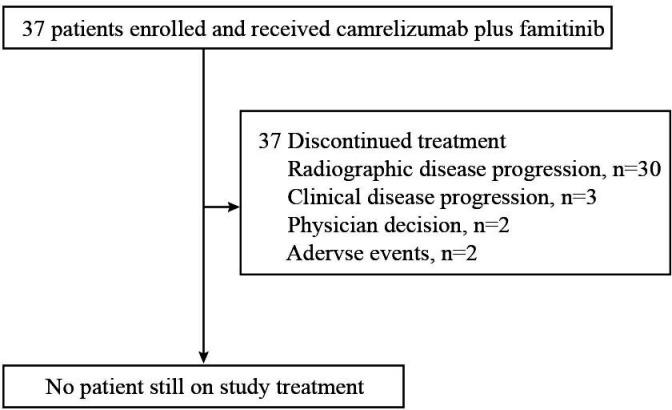 https://cdn.ncbi.nlm.nih.gov/pmc/blobs/d2b6/8753451/fc3ca266e8c0/jitc-2021-003831f01.jpg