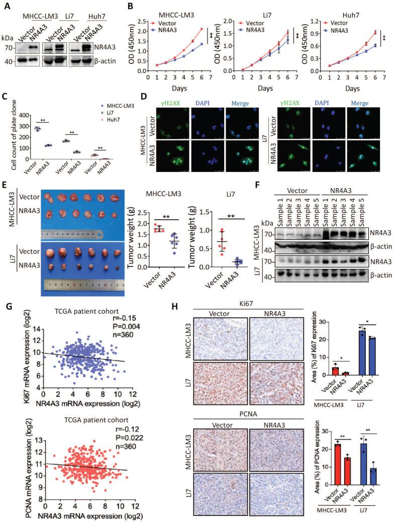 https://cdn.ncbi.nlm.nih.gov/pmc/blobs/d2b8/11628324/99f7333b9edb/ijbsv20p5850g002.jpg