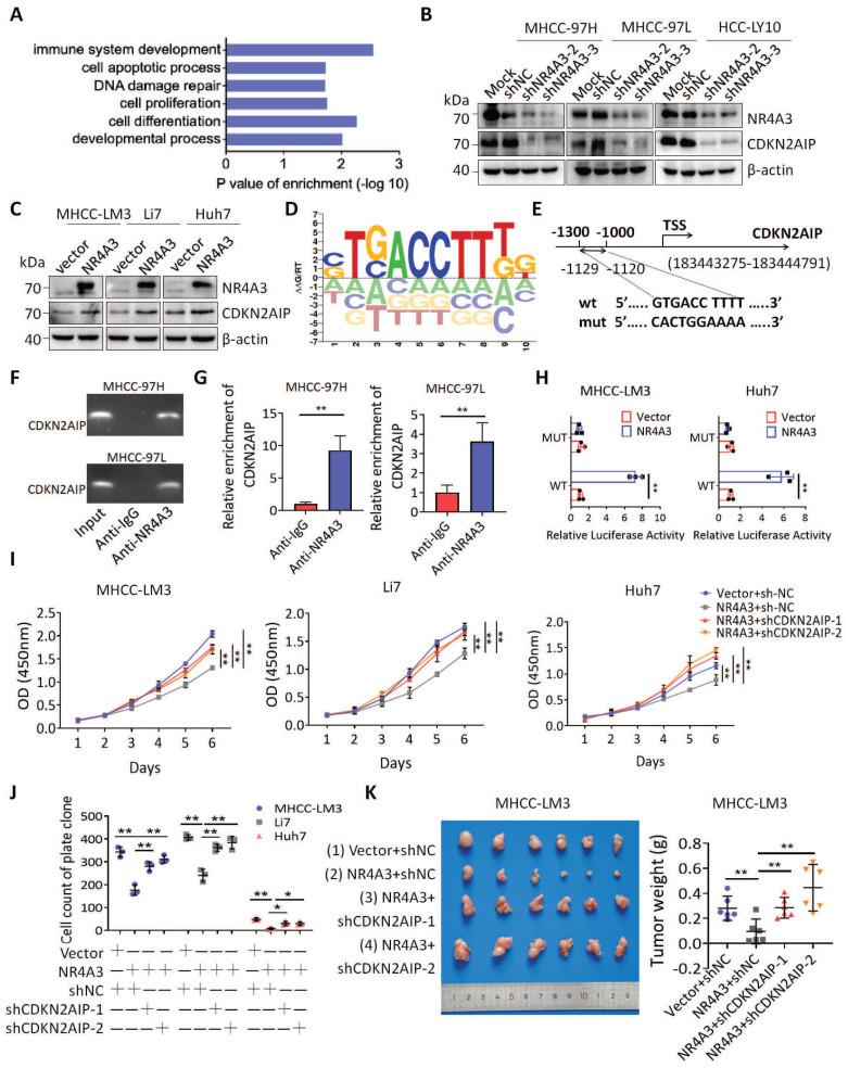 https://cdn.ncbi.nlm.nih.gov/pmc/blobs/d2b8/11628324/a24ad7cdc6ec/ijbsv20p5850g005.jpg