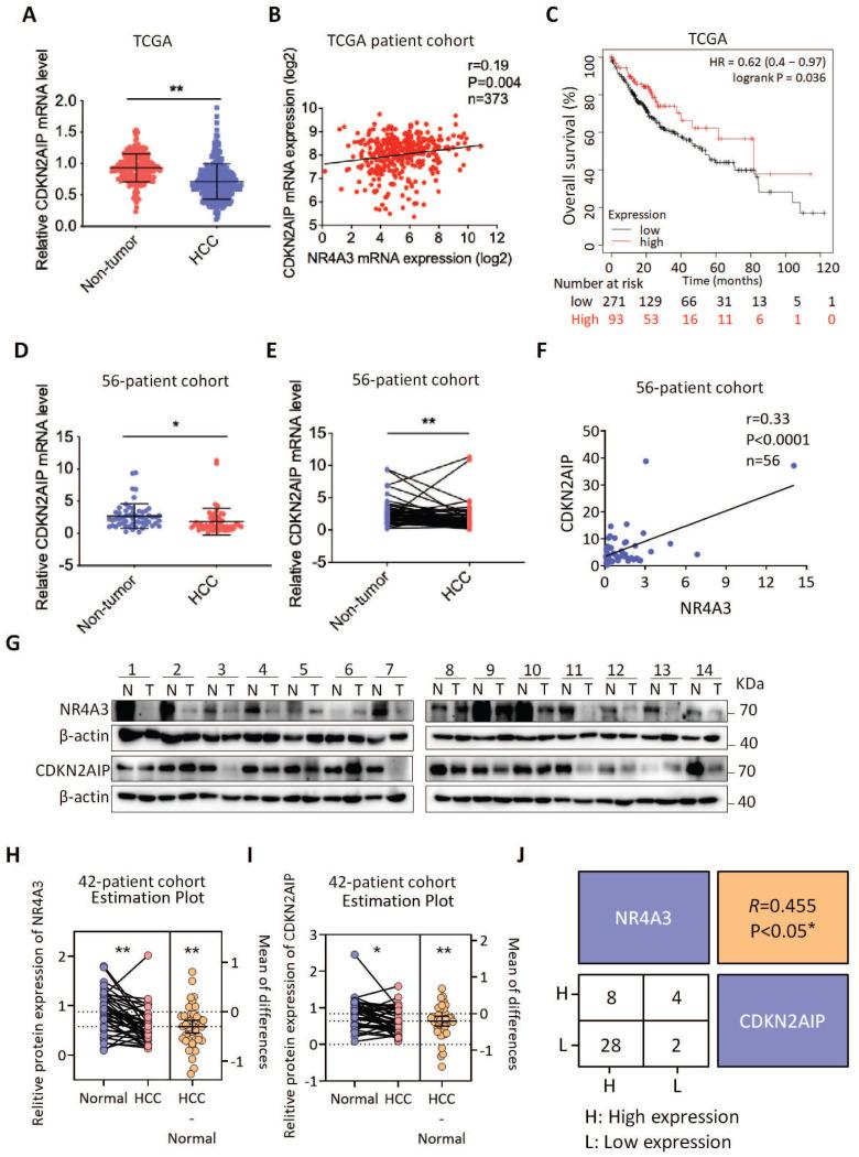 https://cdn.ncbi.nlm.nih.gov/pmc/blobs/d2b8/11628324/e926695bfabb/ijbsv20p5850g007.jpg