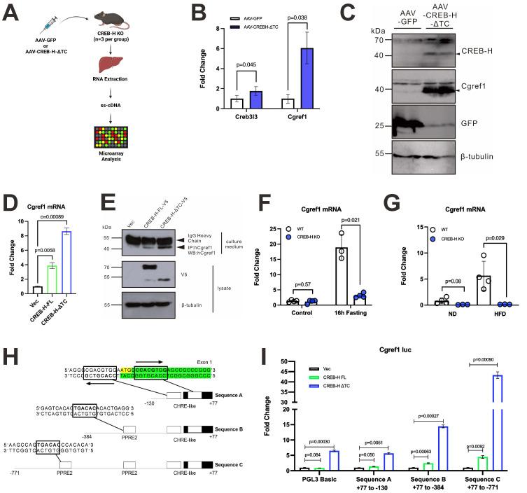 https://cdn.ncbi.nlm.nih.gov/pmc/blobs/d2bb/12035884/c02214b43ca2/ijbsv21p2568g001.jpg