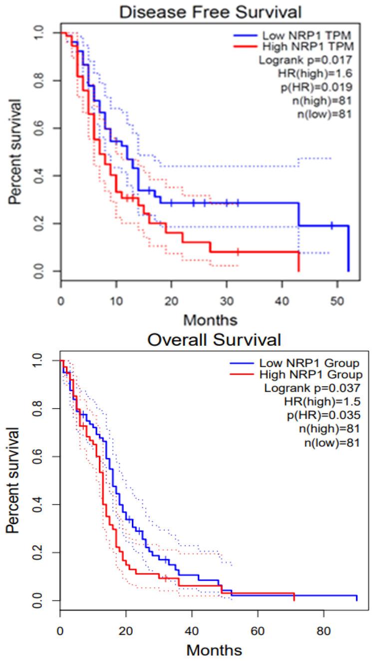https://cdn.ncbi.nlm.nih.gov/pmc/blobs/d2bc/12025621/24315f3f286e/curroncol-32-00203-g004.jpg