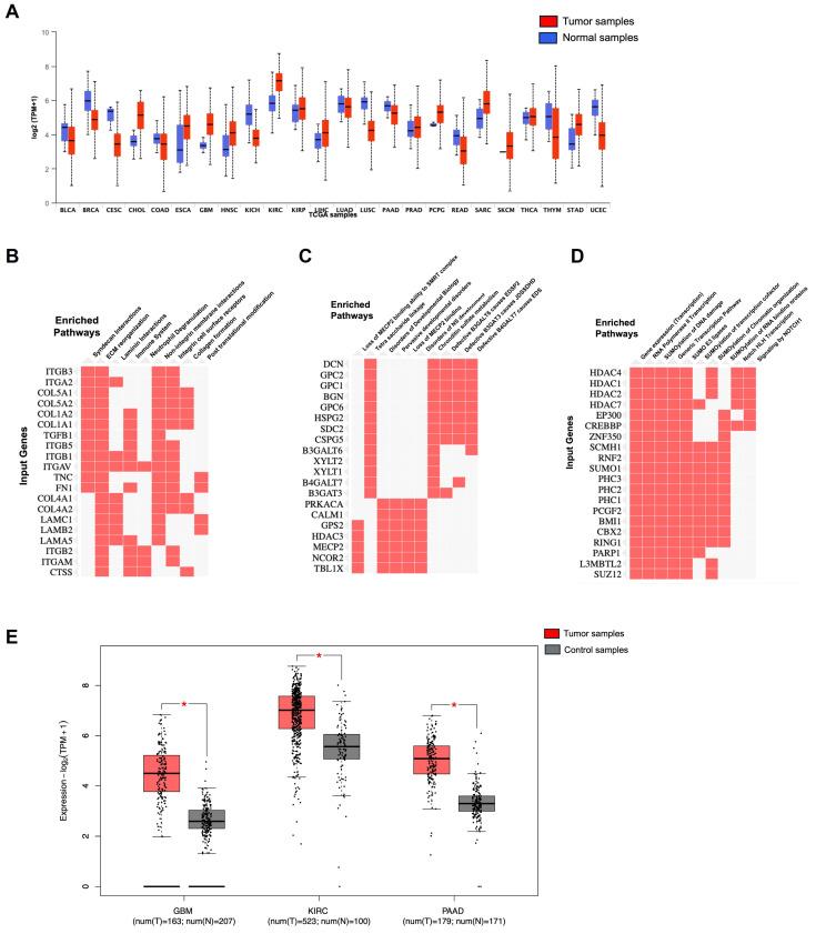 https://cdn.ncbi.nlm.nih.gov/pmc/blobs/d2bc/12025621/287cc8c397cb/curroncol-32-00203-g010.jpg