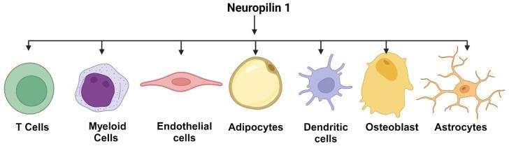 https://cdn.ncbi.nlm.nih.gov/pmc/blobs/d2bc/12025621/93ff8551ce10/curroncol-32-00203-g001.jpg