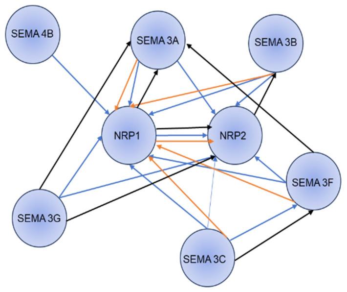 https://cdn.ncbi.nlm.nih.gov/pmc/blobs/d2bc/12025621/d3973d4d9136/curroncol-32-00203-g003.jpg