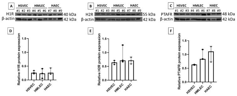 https://cdn.ncbi.nlm.nih.gov/pmc/blobs/d2be/8072631/73cfcba0ad1f/biomedicines-09-00439-g002.jpg