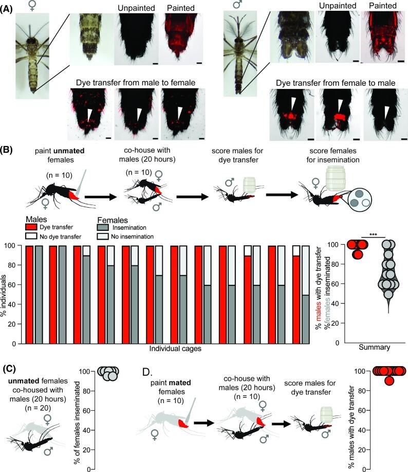 https://cdn.ncbi.nlm.nih.gov/pmc/blobs/d2bf/10445417/dd6bfc8e90c8/icad041fig1.jpg