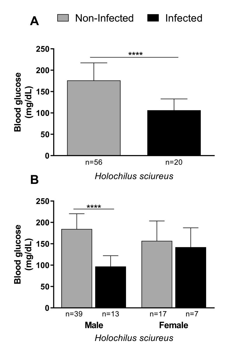 https://cdn.ncbi.nlm.nih.gov/pmc/blobs/d2bf/9901889/6520d0fff2e9/rbpv-31-2-e021921-g01.jpg
