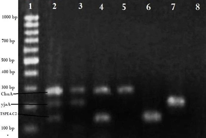 https://cdn.ncbi.nlm.nih.gov/pmc/blobs/d2c1/9840809/81bab5ecf8a2/vrf-13-569-g001.jpg